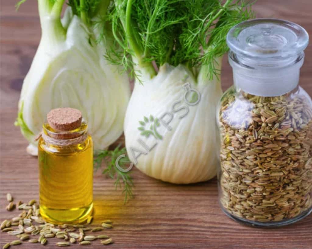 Comprare olio essenziale di finocchio puro